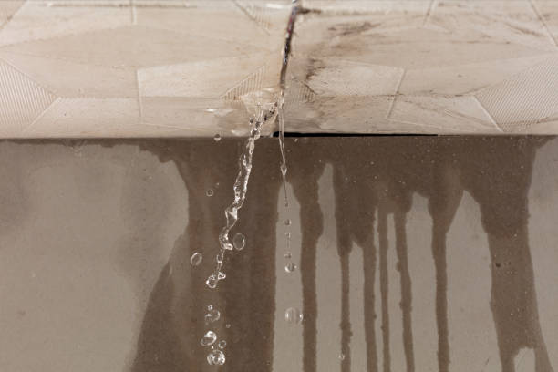 Professional Flood Damage Cleanup technician working in Leonardo, NJ